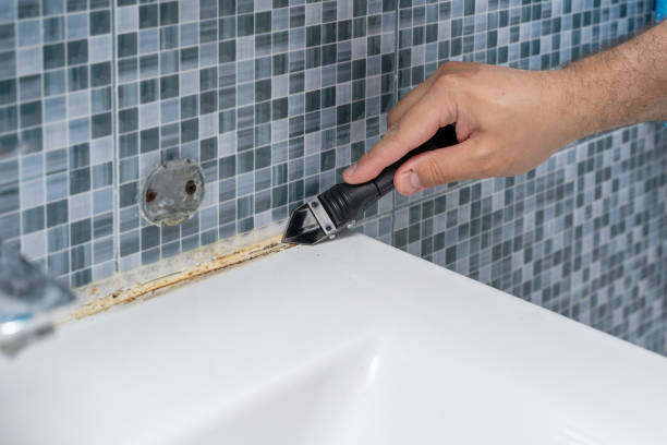 Best Mold Testing  in Augusta, AR