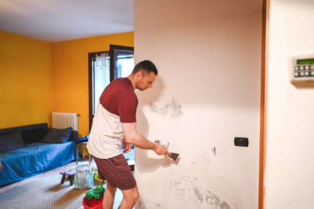 Attic Mold Removal in Augusta, AR